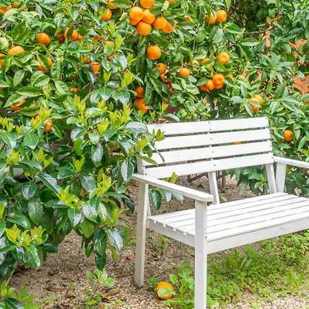 Casa de hóspedes The Indy House By Lovelystay 3*